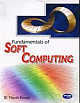 Fundamentals of Soft Computing 