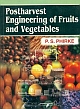 Postharvest Engineering Of Fruits And Vegetables