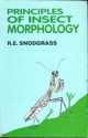 Principles Of Insect Morphology