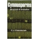 Gymnosperms Structure And Evolution