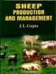 Sheep Production And Management