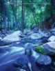 Environmental Science 11th Edition