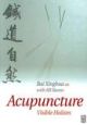 Acupuncture : Visible Holism