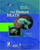 The Human Brain