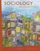 Sociology In Our Times: The Essentials 6th edition