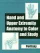Hand And Upper Extremity Anatomy To Color  & Study