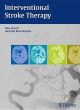 Interventional Stroke Therapy (Hb 2013)