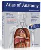 Atlas Of Anatomy 2nd Edition (Pb)
