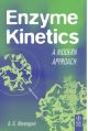 Enzyme Kinetics: A Modern Approach (Pb 2012)
