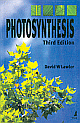 Photosynthesis 3rd Edition 