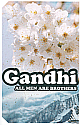 Gandhi All Men Are Brothers