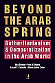 Beyond the Arab Spring