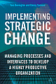 Implementing Strategic Change