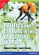 Politics and Culture in the Developing World, 5/e