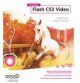 Foundation Flash CS3 Video