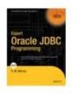 Pro Oracle JDBC Programming
