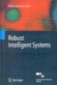 Robust Intelligent Systems