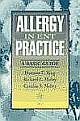 	 Allergy In Ent Practice: A Basic Guide 1st Edition 
