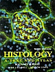 Histology - A Text And Atlas 3/Ed