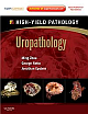  Uropathology: A Volume in the High Yield Pathology Series (Expert Consult - Online and Print) 