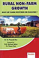 Rural Non-Farm Growth: Sign of Farm Success or Failure?