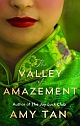The Valley of Amazement 