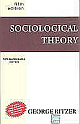  Sociological Theory 5th Edition