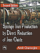 Sponge Iron Production by Direct Reduction of Iron Oxide, 2nd Edition