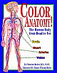 Color Anatomy! The Human Body From Head to Toe 01 Edition