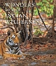 Wonders of the Indian Wilderness