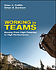  Working in Teams: Moving from High Potential to High Performance