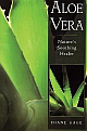 Aloe Vera : Nature`s Soothing Healer