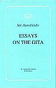 Essays On The Gita