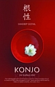 Konjo : The Fighting Spirit 