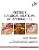 Netter`s Surgical Anatomy And Approaches (Hb 2014)