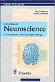 Color Atlas of Neuroscience: Neuroanatomy and Neurophysiology: Neuroanatomie and Neurophysiologie 