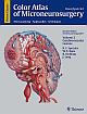 Color Atlas of Microneurosurgery: Microanatomy, Approaches and Techniques: Volume II: Cerebrovascular Lesions: Vol.2 