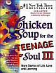 Chicken Soup For The Teenage Soul III 