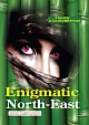 Enigmatic North-East
