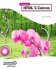 Foundation Html5 Canvas: For Games and Entertainment New Edition