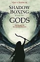 Shadow Boxing with the Gods : The Story of Mankind`s Beliefs