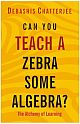 Can You Teach a Zebra Some Algebra? : The Alchemy of Learning