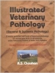 Illustrated Veterinary Pathology   2Nd Revised And Enlarged Edition