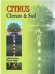 Citrus: Climate & Soil