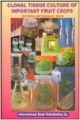 Clonal Tissue Culture Of Important Fruit Crops