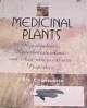 Medicinal Plants: Hypolipidemic, Hypocholesterolemic And Antiatherosclerotic Properties