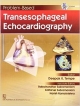 Problem-Based Transesophageal Echocardiography (2013)