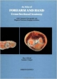 An Atlas Of Forearm And Hand Cross - Sectional Anatomy