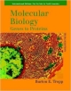 Molecular Biology: Genes To Proteins (International Version),3E