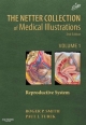 The Netter Collection Of Medical Illustrations 2Ed Vol.1: Reproductive System (Hb)